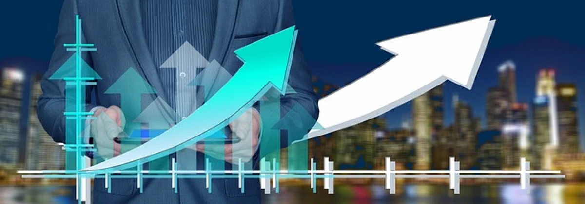 Les Secrets d'une Fiscalité Personnelle Optimisée